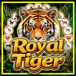 Royal Tiger Spinner screenshot